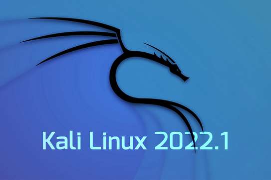 Kali Linux 2022 image 1