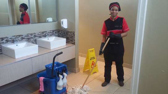 Domestic Cleaning Services Riverside/Ridgeways/ South C image 1