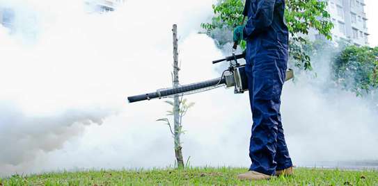 Pest Control & Fumigation Services in Nyeri and across Kenya image 5