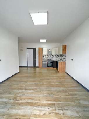 1 Bed Apartment with Swimming Pool at Oloitoktok Road image 13