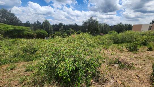 0.2 ha Commercial Land at Merisho Road image 8