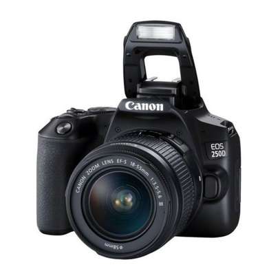 Canon EOS 250D DSLR Camera with 18-55mm f/4-5.6 IS STM Lens image 3