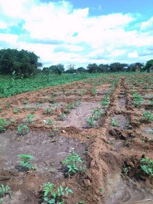 95 acres along Athi-River in Kibwezi Makueni County image 8