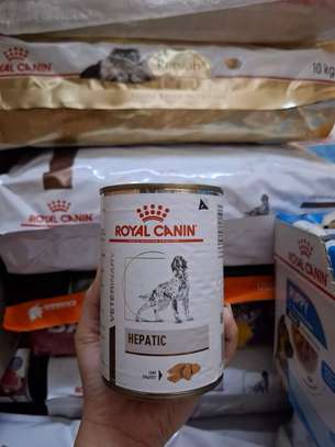 Royal Canin Dog Food and Royal Canin Cat Food | for Sale image 2