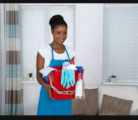House Maids, Domestic Workers, Nannies in Westlands image 3