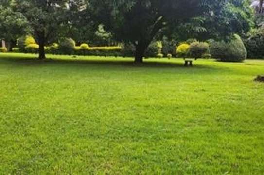 0.75 ac Land at Kunde Rd image 2