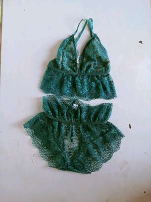 Transparent lingeries underwears image 2