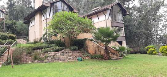 5 Bed Townhouse with En Suite in Rosslyn image 20