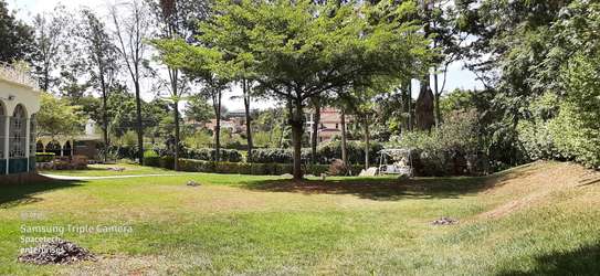 Commercial Property with Parking in Lavington image 8