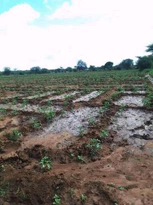 95 acres along Athi-River in Kibwezi Makueni County image 6