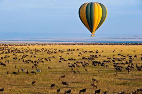 masai mara migration safari image 1