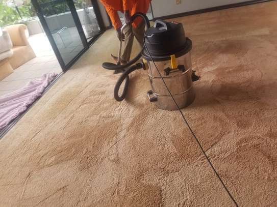 CARPET CLEANING PROCESS OR PROCEDURE|HOW WE CLEAN CARPETS. image 2
