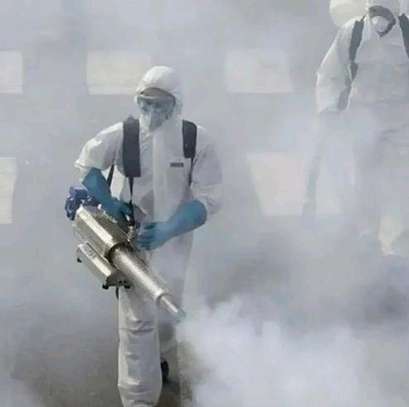 Pest control image 3