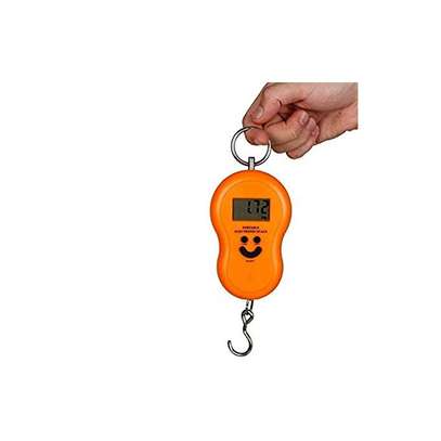 Mini Portable 50kg-Digital Hanging LED Weighing Scale image 2