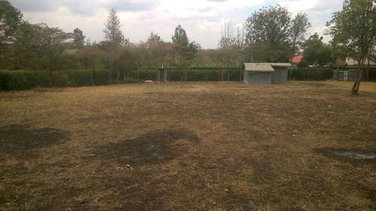 One acre land for sale image 5