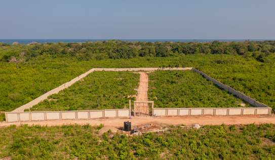 0.09 ha Land at Ramisi image 1