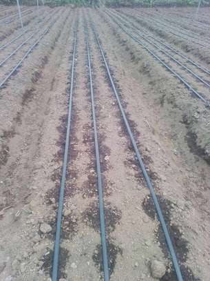 Drip irrigation installation services image 5