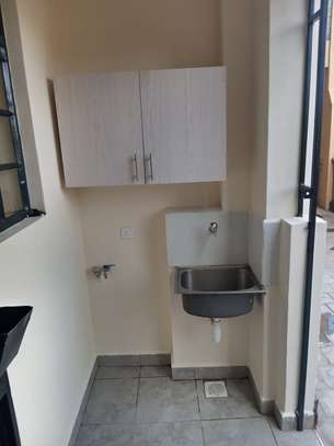 2 Bed Apartment with En Suite in Thindigua image 6