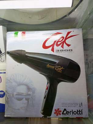 Commercial blow dryer image 1