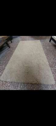 Shaggy carpet image 2