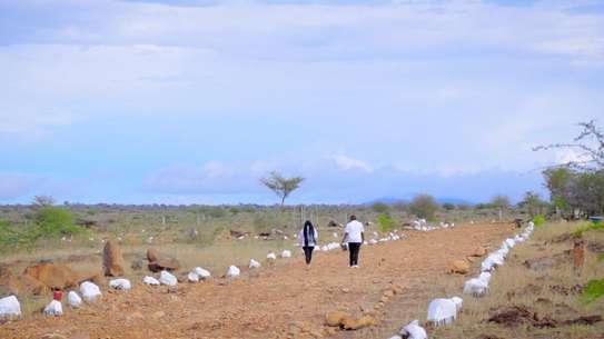 0.25 ac Land at Off Namanga Road image 14