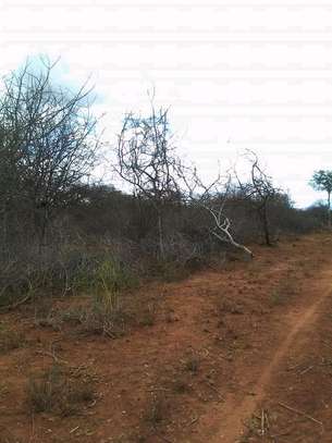 50 acres near ikoyo primary school makindu makueni county image 8