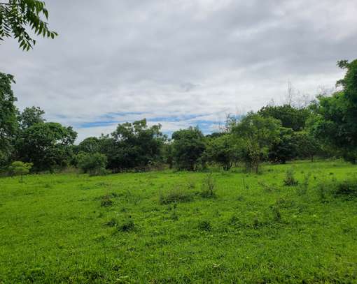Commercial Land in Mtwapa image 24