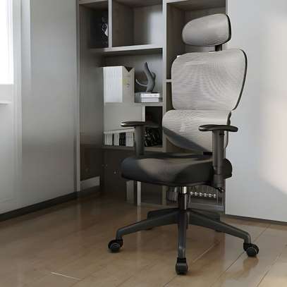 Office Chair:  Lumbar Support Office Chair image 4
