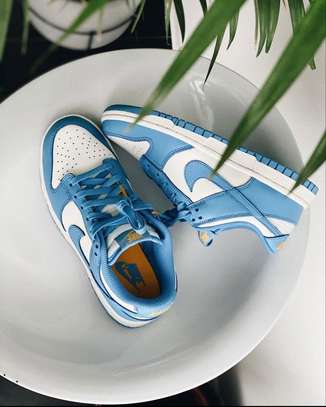 Unisex blue Nike Sb image 3