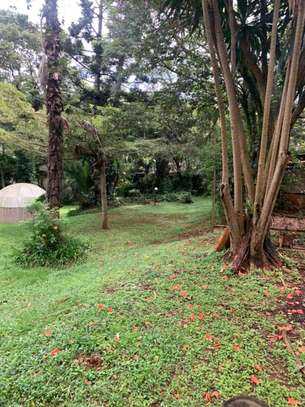 1.2 acres With 4 Bedrooms Mansionette With Dsq In Muthaiga image 3