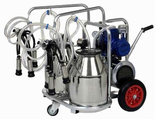 Milking machine suppliers in Kenya image 2