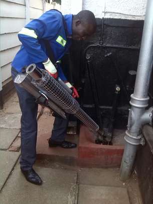 Best Pest Control (Bedbugs, Insects, Rodents, Termites) Professionals Nairobi image 2