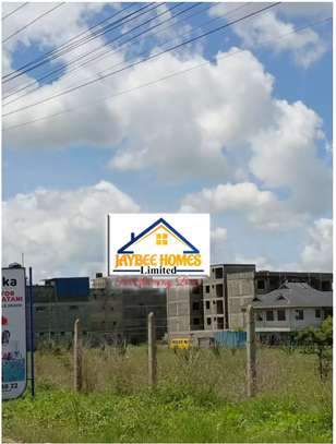 Katani Gardens (Touching Tarmac) image 1