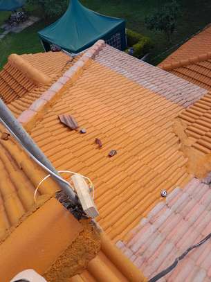 Roof Cleaner & Recoating image 2