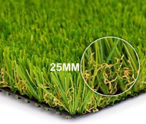 elegant carpet grass image 2