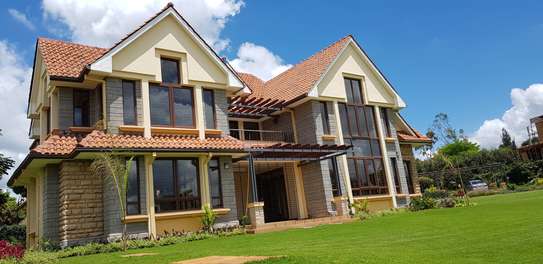5 Bed House with En Suite at Runda Road image 39