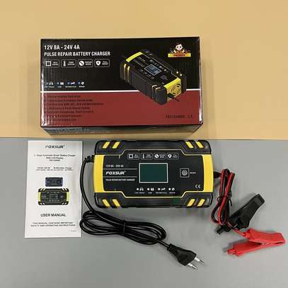 Universal Twin 12v/24v Lithium,Lead Acid Battery Charger image 5