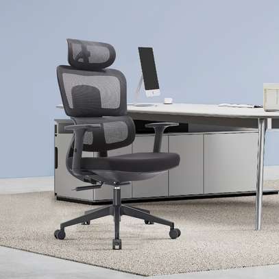 Office Chair: High Back Orthopedic Lumbar Support Chair image 1