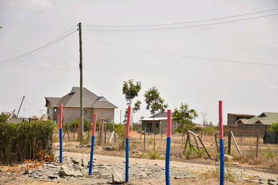 Sunshine  gardens  juja farm image 1