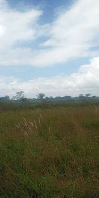 2 Acres Available For Sale in Makindu town, Masalani Area image 3
