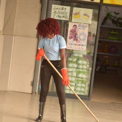 Cleaning Services Company In Muthaiga,Lower Kabete,Lavington image 2