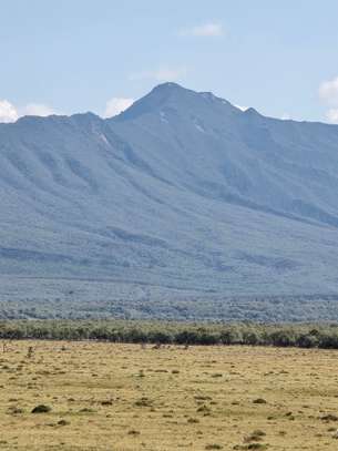 1 ac Land in Naivasha image 12