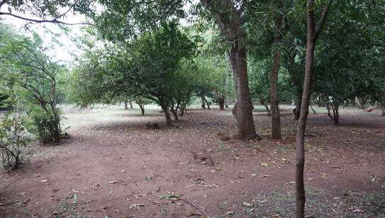 1 ac Land in Kikambala image 14