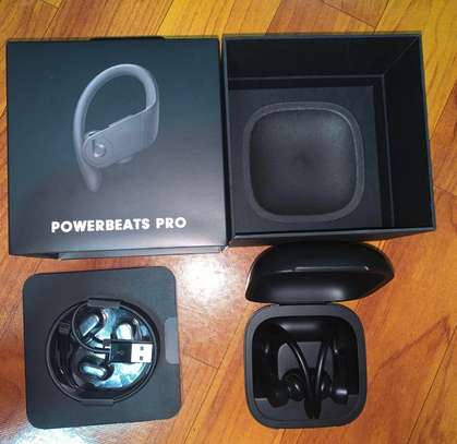 Beats by Dre Powerbeats Pro True Wireless Earbuds image 4