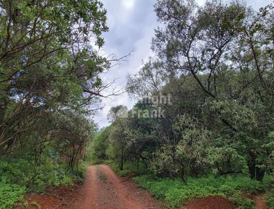 Land at Simba Road image 8