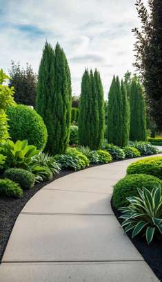 Landscaping design solutions image 3