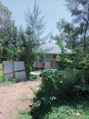 THREE BEDROOMS HOUSE IN KAKAMEGA image 4
