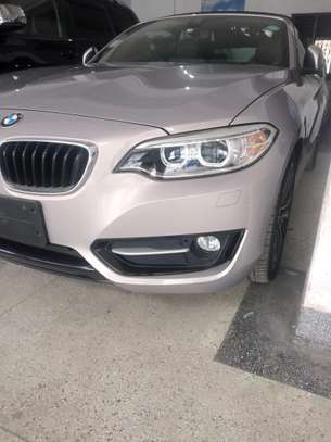 BMW 220i 2 series over view image 6