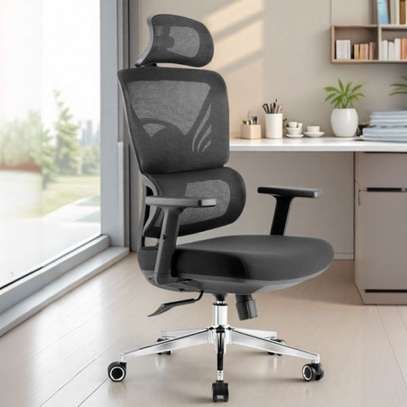 Office Chair: Orthopedic Ergonomic Design Office Chair image 1