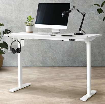 Luxury Electric Height Adjustable Standing Desk image 1